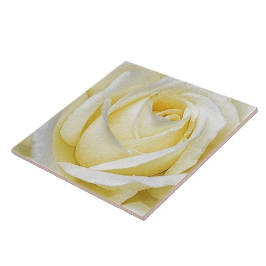 Carreau Rose jaune (Côté)