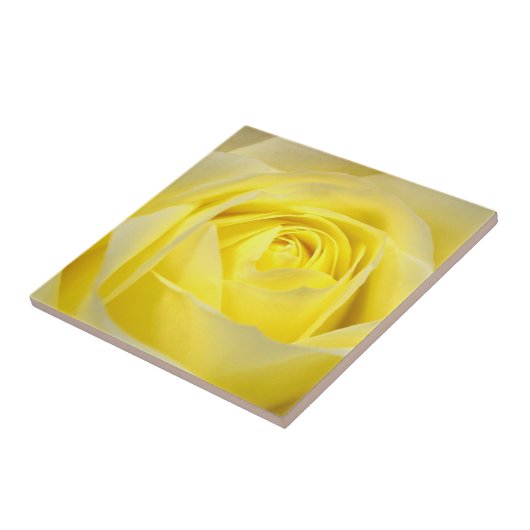 Carreau Rose jaune (Côté)