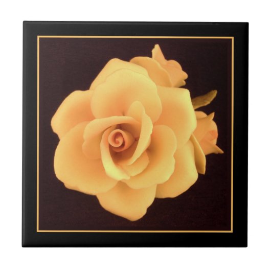 Carreau Rose jaune, photo de 2004. (Devant)