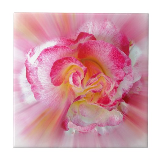 Carreau Rose jaune rose (Devant)