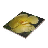 Carreau Rose jaune sauvage (Côté)