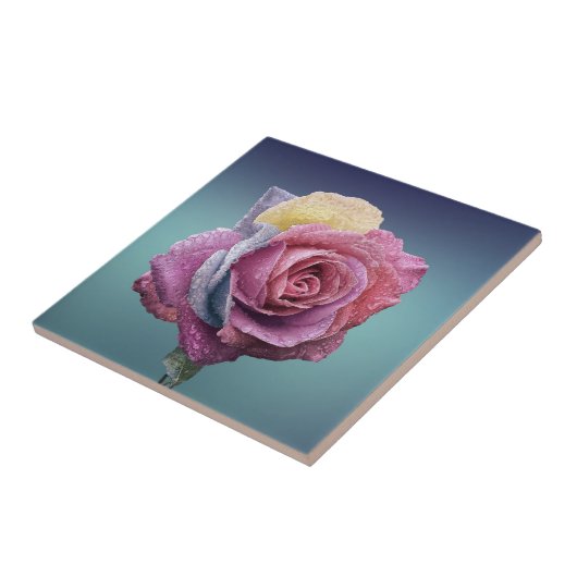 Carreau Rose multicolore (Côté)