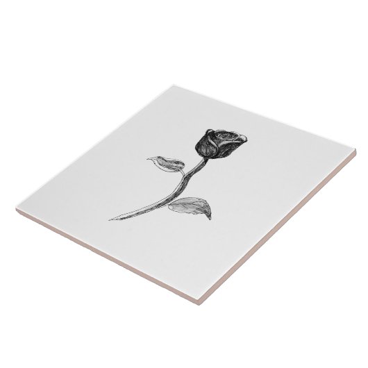 Carreau Rose noire (Côté)