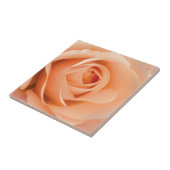 Carreau Rose orange (Côté)