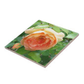 Carreau Rose orange (Côté)