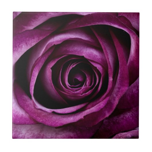 Carreau Rose pourpre foncé (Devant)