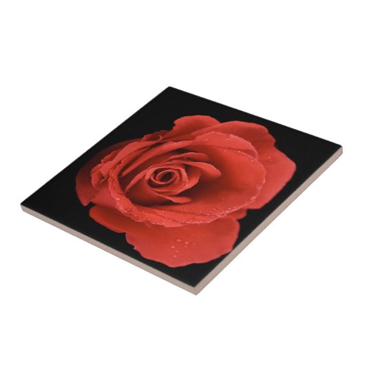 Carreau Rose Red Drama (Côté)