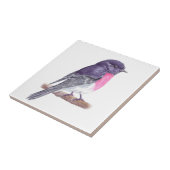 Carreau Rose robin (Côté)