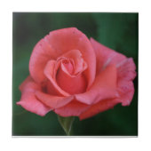 Carreau Rose rose (Devant)