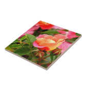 Carreau Rose rose et orange (Côté)