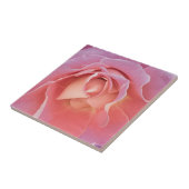 Carreau Rose rose lustre (Côté)