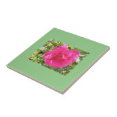 Carreau Rose rose rose (Côté)