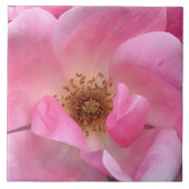 Carreau Rose rose rose (Devant)