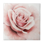 Carreau Rose rose rose<br><div class="desc">Rose I par Grace Popp. Dispose d'un rose tout proche dans une belle palette muette.</div>