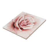 Carreau Rose rose rose (Côté)