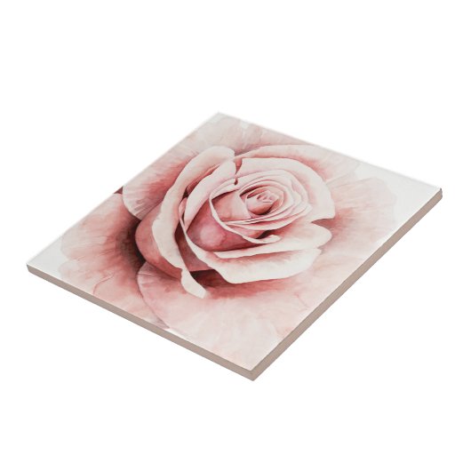 Carreau Rose rose rose (Côté)