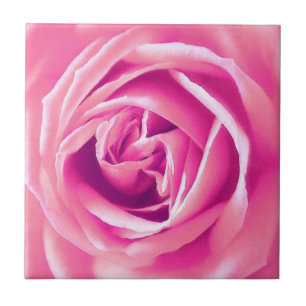 Carreau rose rose rose