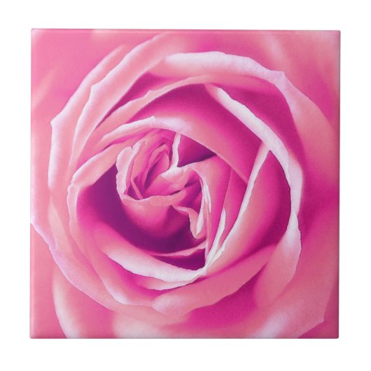 Carreau rose rose rose (Devant)