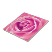 Carreau rose rose rose (Côté)