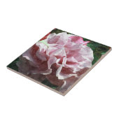 Carreau Rose rose rose (Côté)