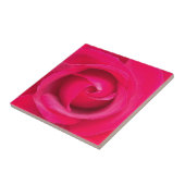Carreau Rose rose rouge romantique (Côté)