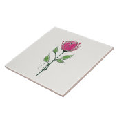 Carreau Rose rose simple de style de Glasgow (Côté)