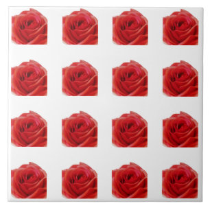 Carreau Rose rouge
