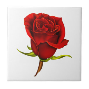 Carreau Rose rouge