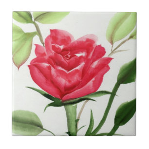 Carreau Rose rouge