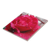 Carreau Rose rouge (Côté)