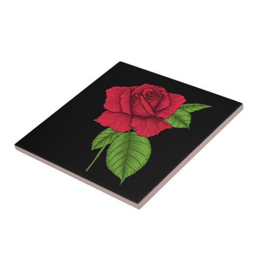 Carreau Rose rouge 2 (Côté)