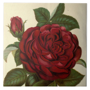Carreau rose rouge mignon décoration vintage