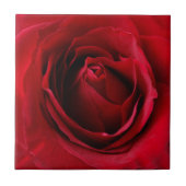 Carreau rose rouge profonde (Devant)