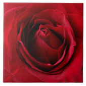 Carreau rose rouge profonde (Devant)