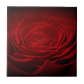 Carreau Rose rouge profonde (Devant)