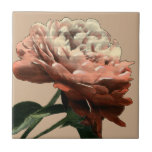 Carreau Rose rouge rubis aux accents blancs<br><div class="desc">Originaire de Chariklia Zarris,  cette rose rouge rubis s'étend vers une lumière illuminant ses pétales. Est-ce le soleil qui brille sur le rose,  ou une lumière artificielle ? Une belle pièce pour commencer votre collection d'art !</div>