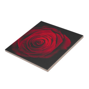 Carreau Rose rouge sur fond noir effet vintage