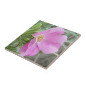 Carreau Rose sauvage F4b (Côté)