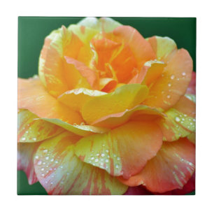 Carreau Rose thé orange simple