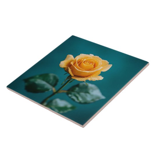 Carreau Rose unique (Côté)