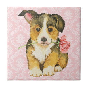Carreau Rose Valentin Pembroke Welsh Corgi