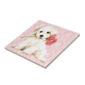 Carreau Rose Valentine Bichon (Côté)