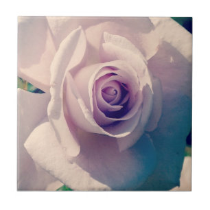 Carreau Rose violet