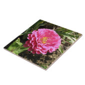 Carreau rose Zinnia (Côté)