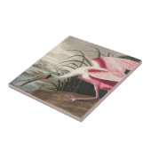 Carreau Roseate Spoonbill Art Vintage Audubon (Côté)