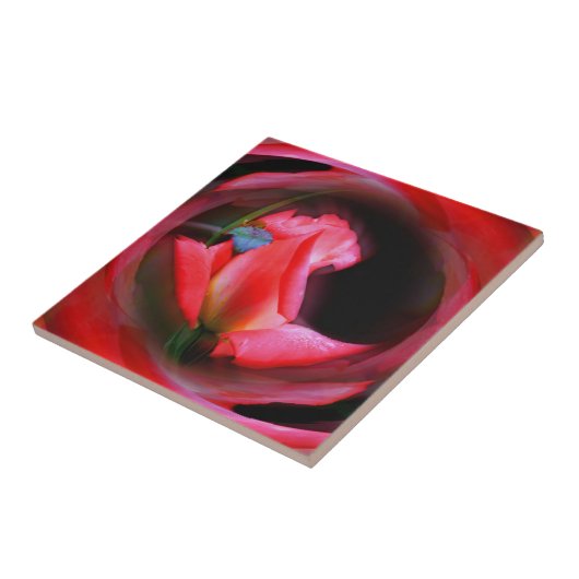 Carreau Rosebud rose Art Abstrait (Côté)
