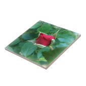 Carreau rosebud rouge (Côté)