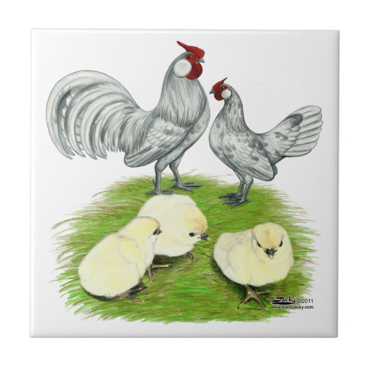 Carreau Rosecomb Bantams et Chicks (Devant)
