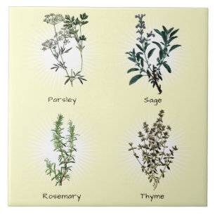 Carreau Rosemary de la tige de persil et Herbes de thym