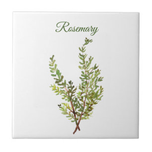 Carreau Rosemary Herb Greenery Cuisine culinaire Vert chic